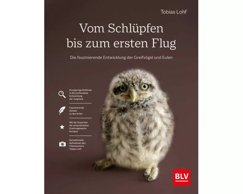 Vom Schlüpfen bis zum ersten Flug