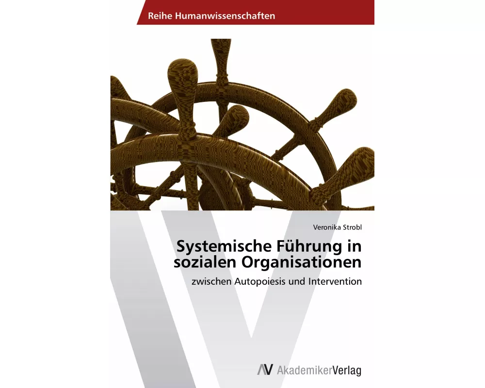 Systemische Führung in sozialen Organisationen