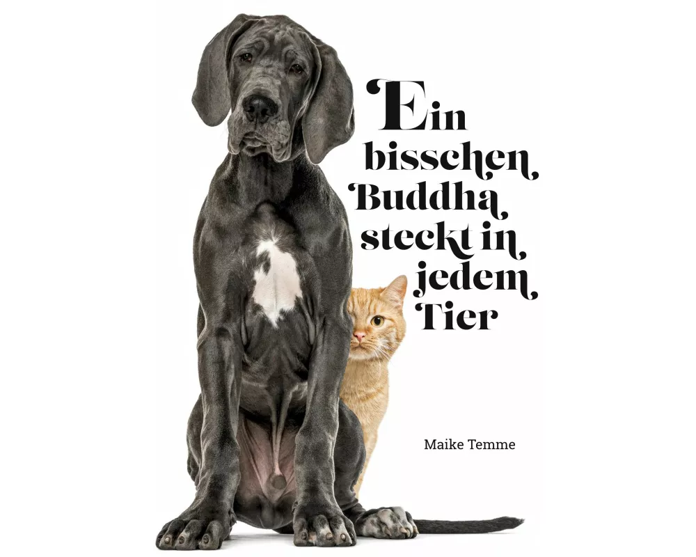 Ein bisschen Buddha steckt in jedem Tier