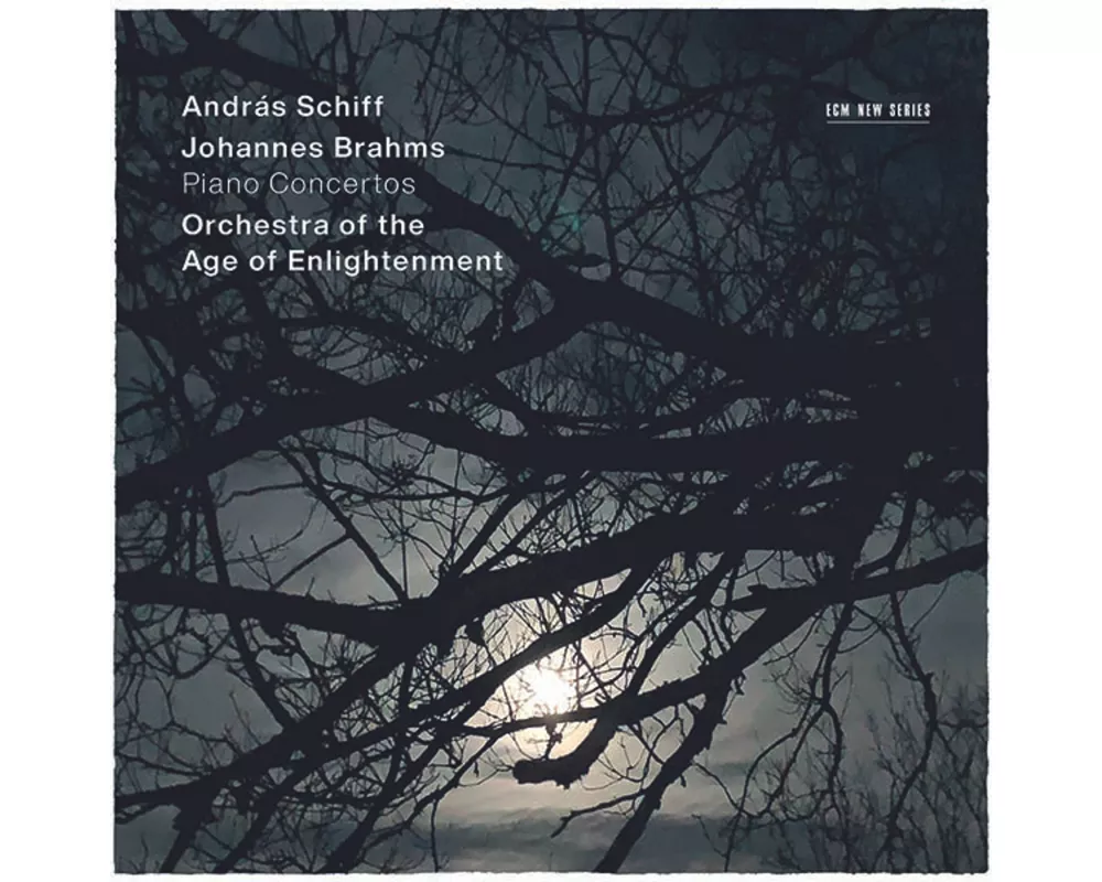 Johannes Brahms: Piano Concertos