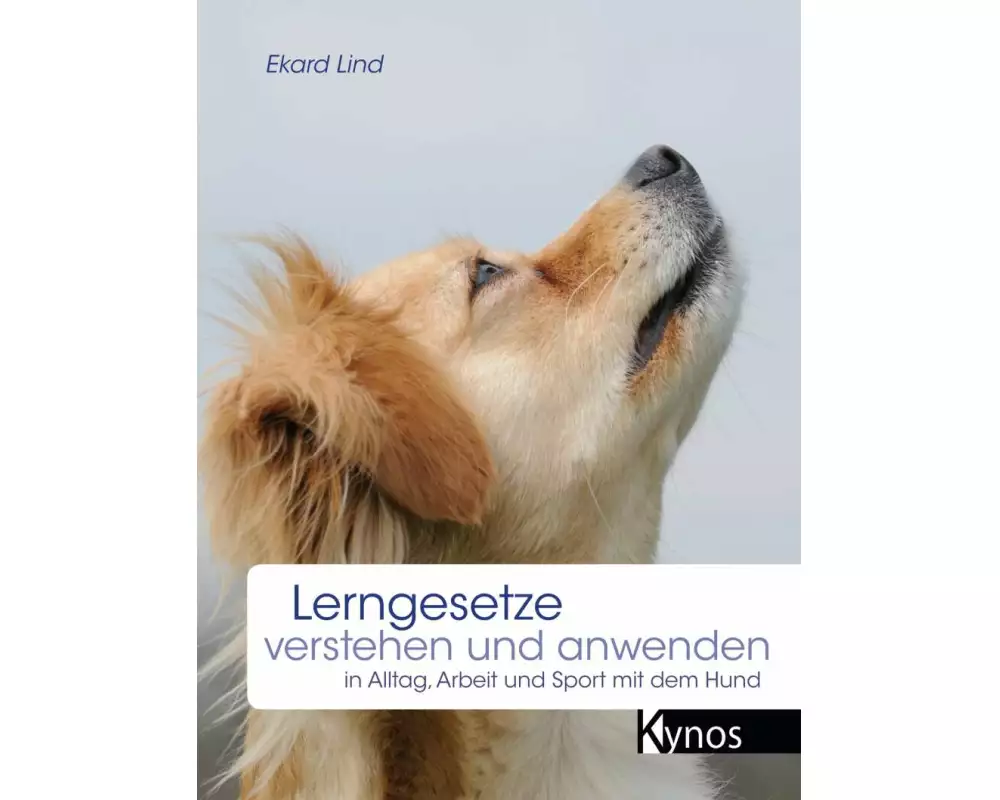 Lerngesetze verstehen und anwenden