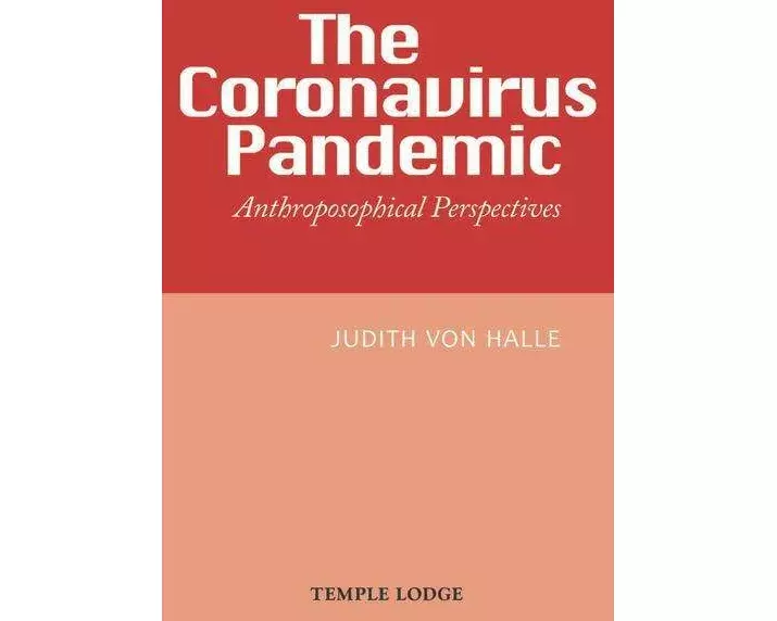 The Coronavirus Pandemic