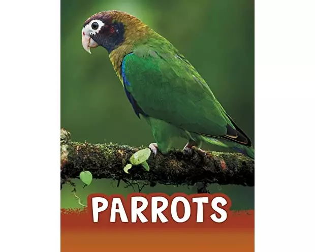Parrots