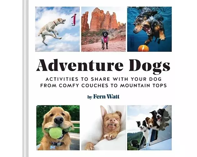 Adventure Dogs
