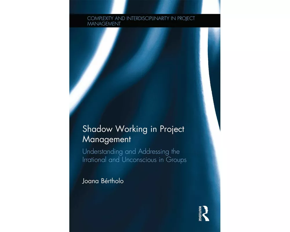 Shadow Working in Project Management
