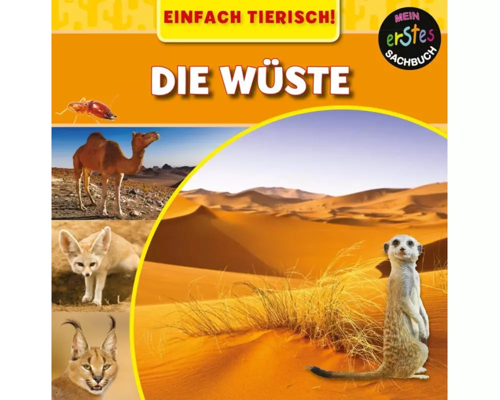 Die Wüste