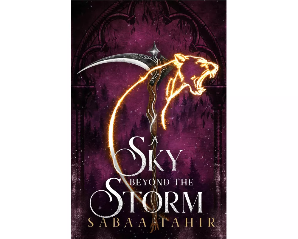 A Sky Beyond the Storm