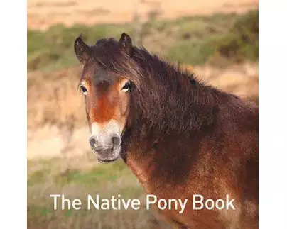 The Native Pony Book