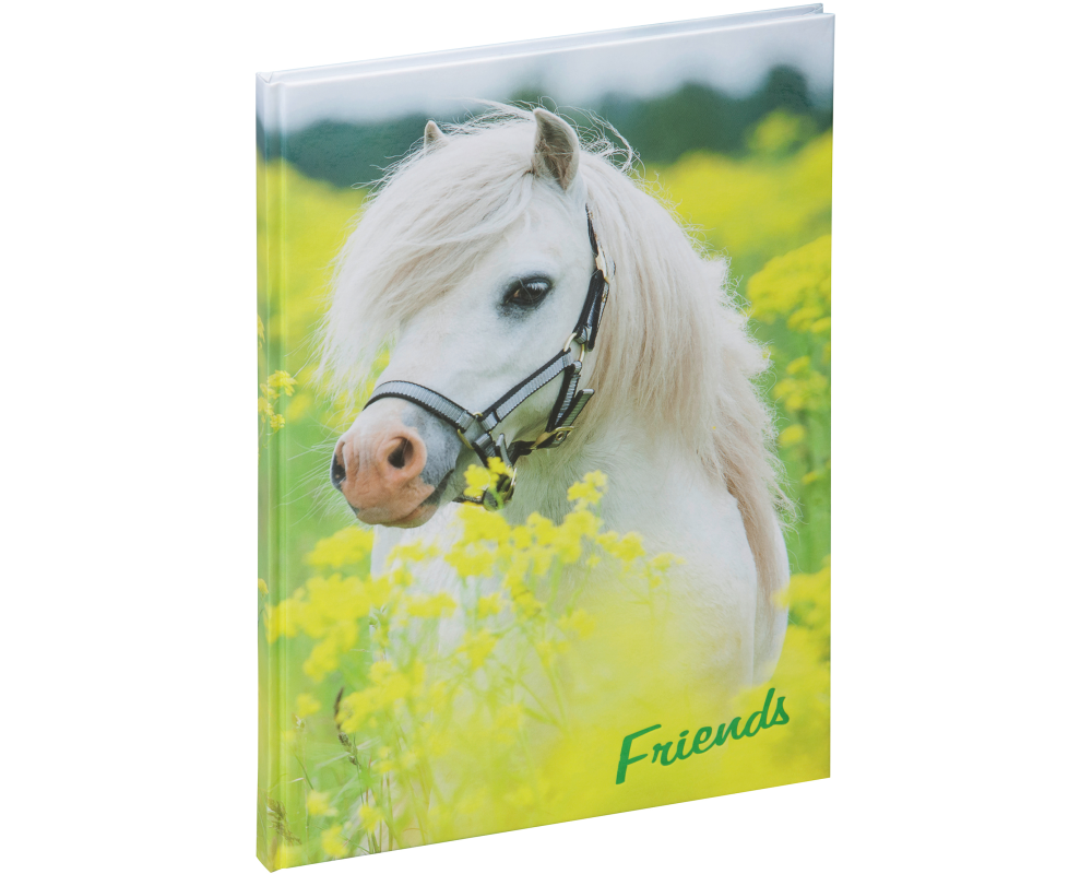 PAGNA Freundebuch 20346-15 kleines Pony 60S