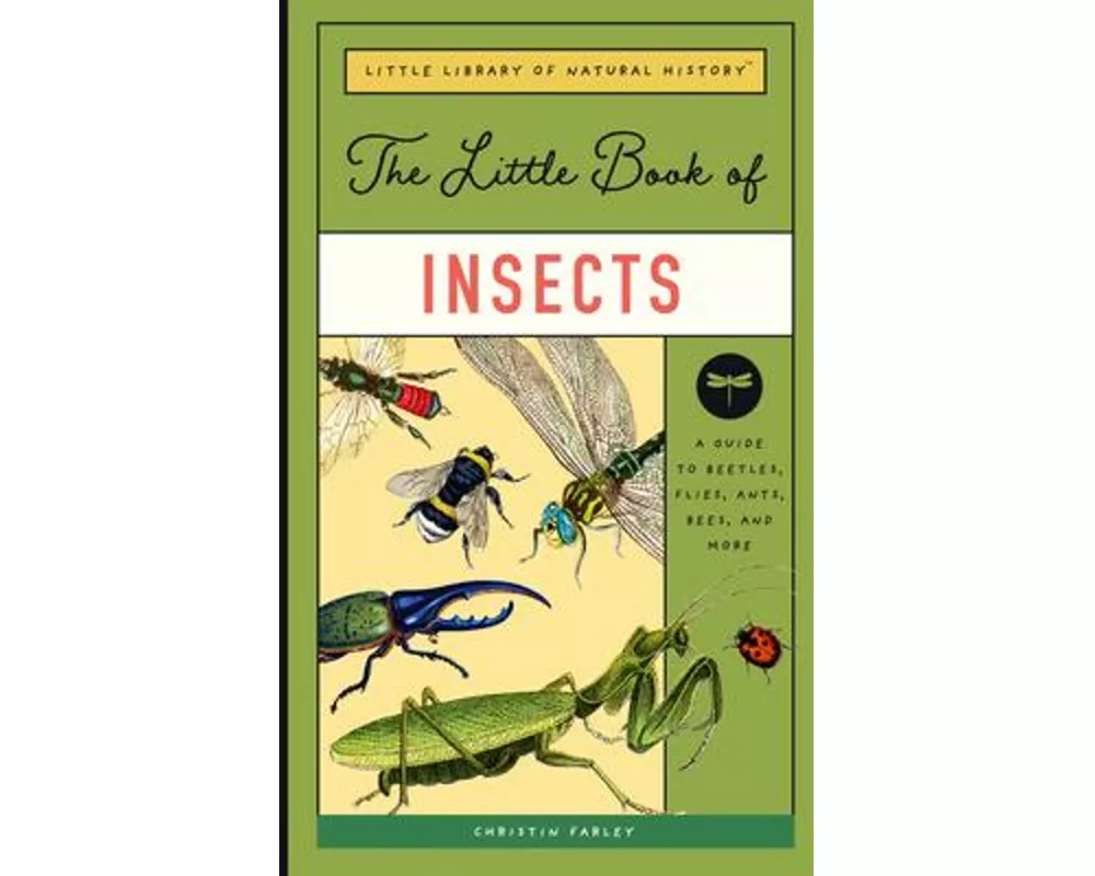 The Little Book of Insects