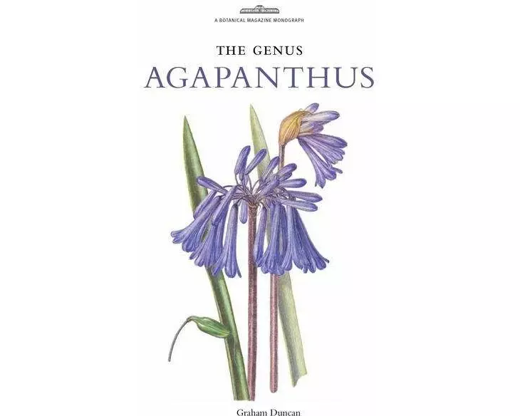 The Genus Agapanthus