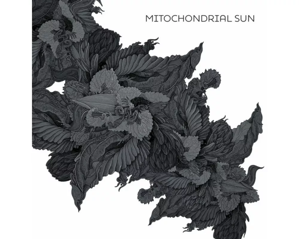Mitochondrial Sun