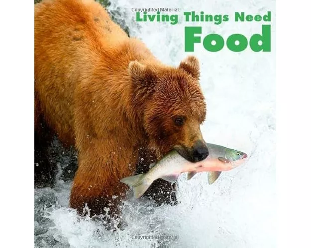 Living Things Need Food