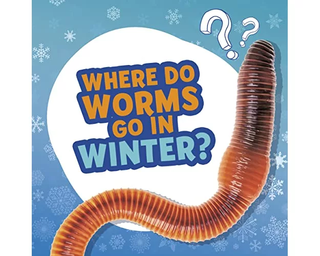 Where Do Worms Go in Winter?