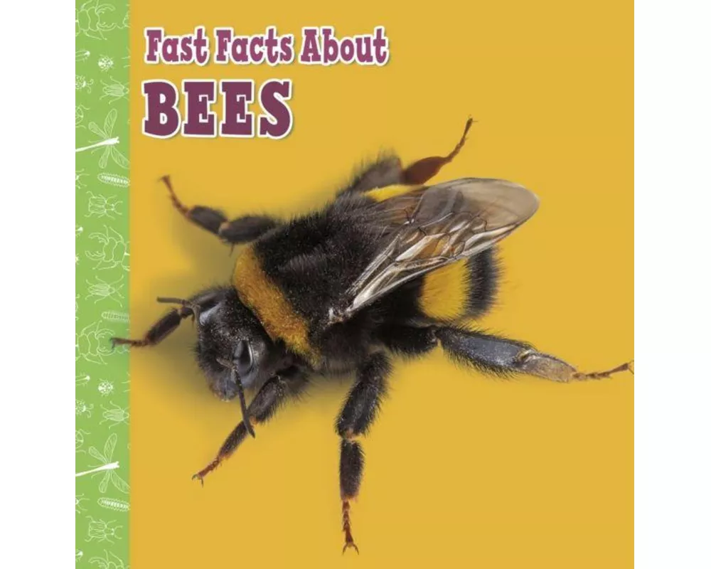 Fast Facts About Bees