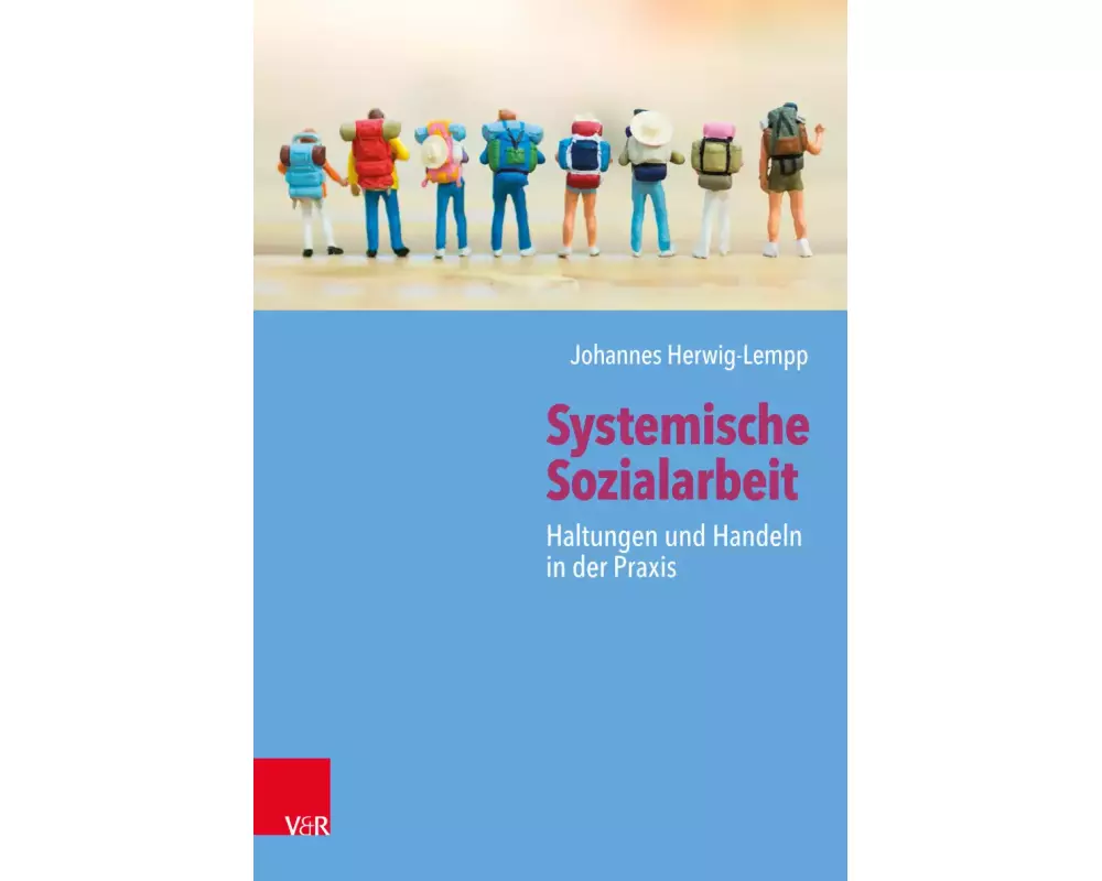 Systemische Sozialarbeit