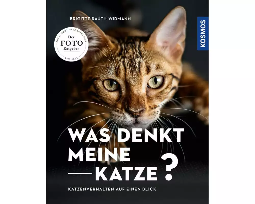 Was denkt meine Katze