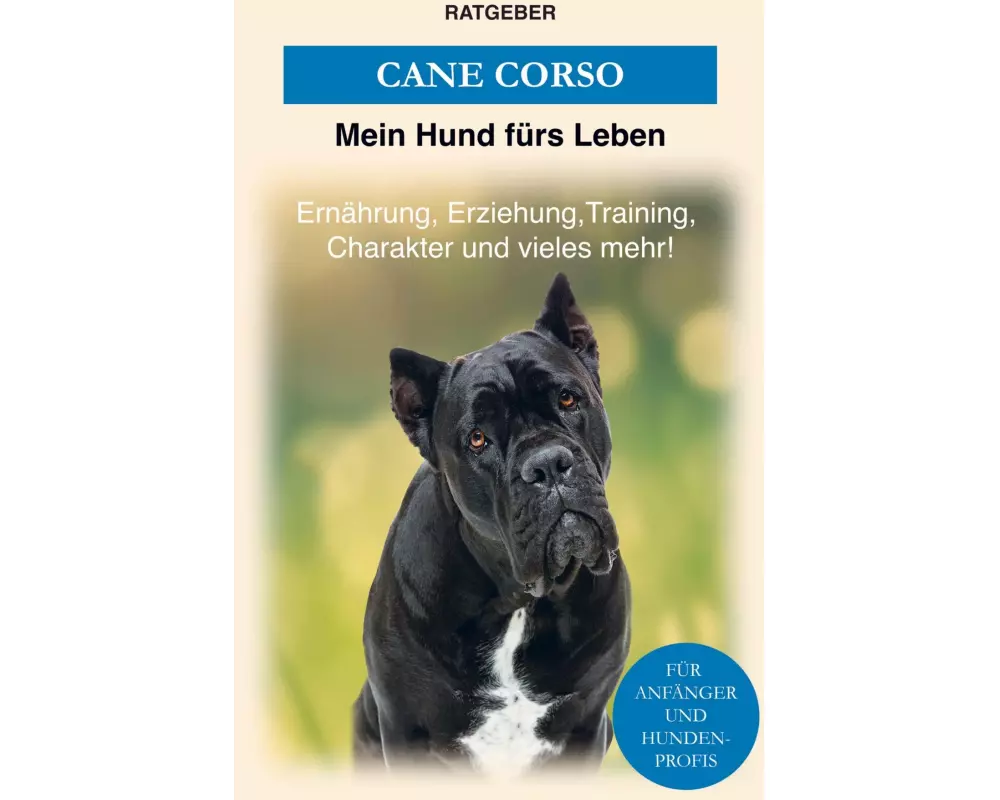 Cane Corso