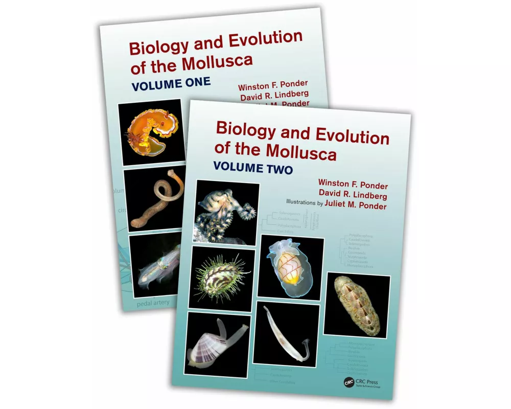 Biology and Evolution of the Mollusca