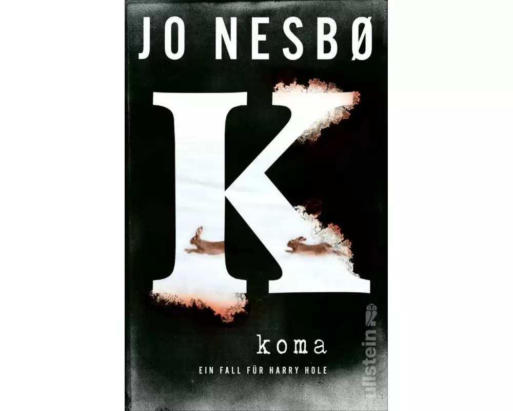 Koma (Ein Harry-Hole-Krimi 10)