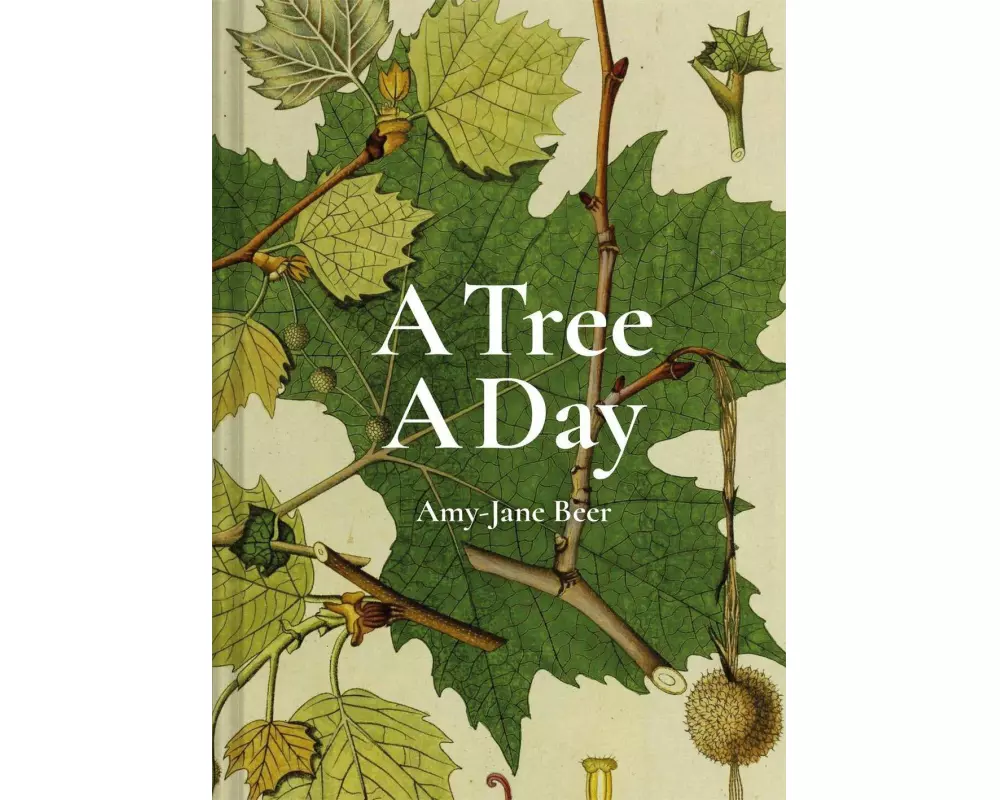 A Tree A Day