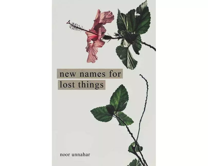 New Names for Lost Things