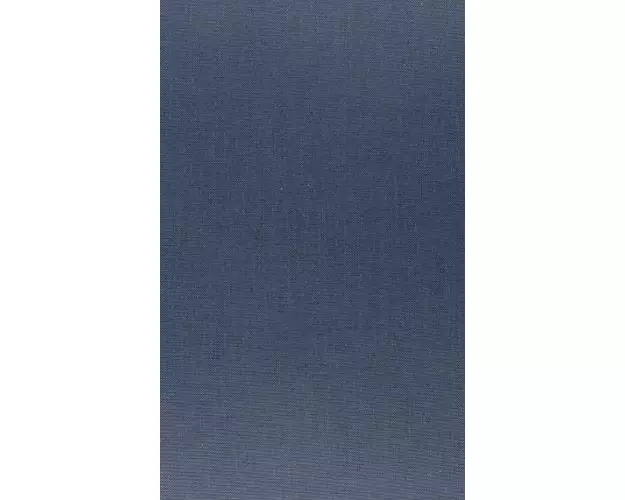 Models of Representation in Czech Literary History