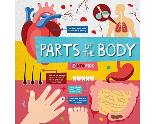 Parts of the Body