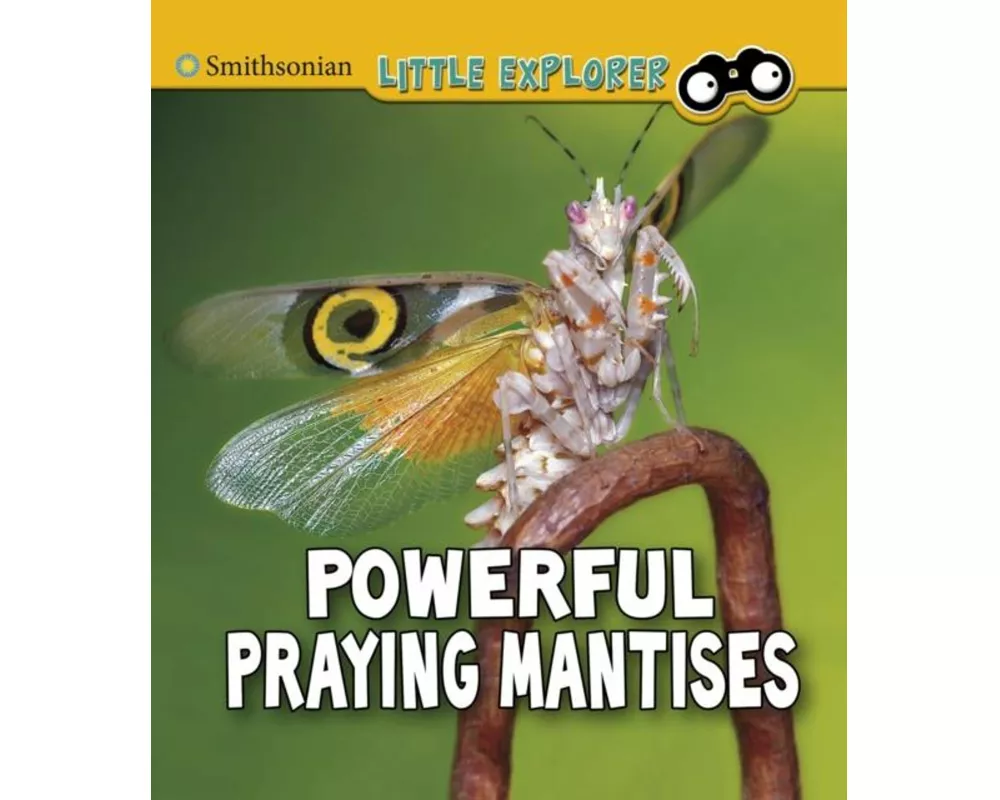 Powerful Praying Mantises