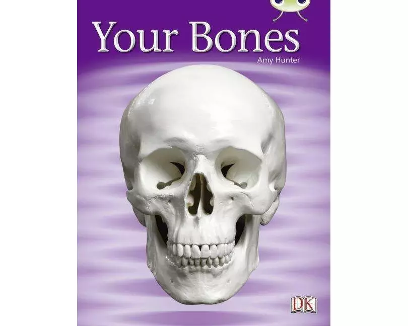 Bug Club Non-fiction Green C/1B Your Bones 6-pack