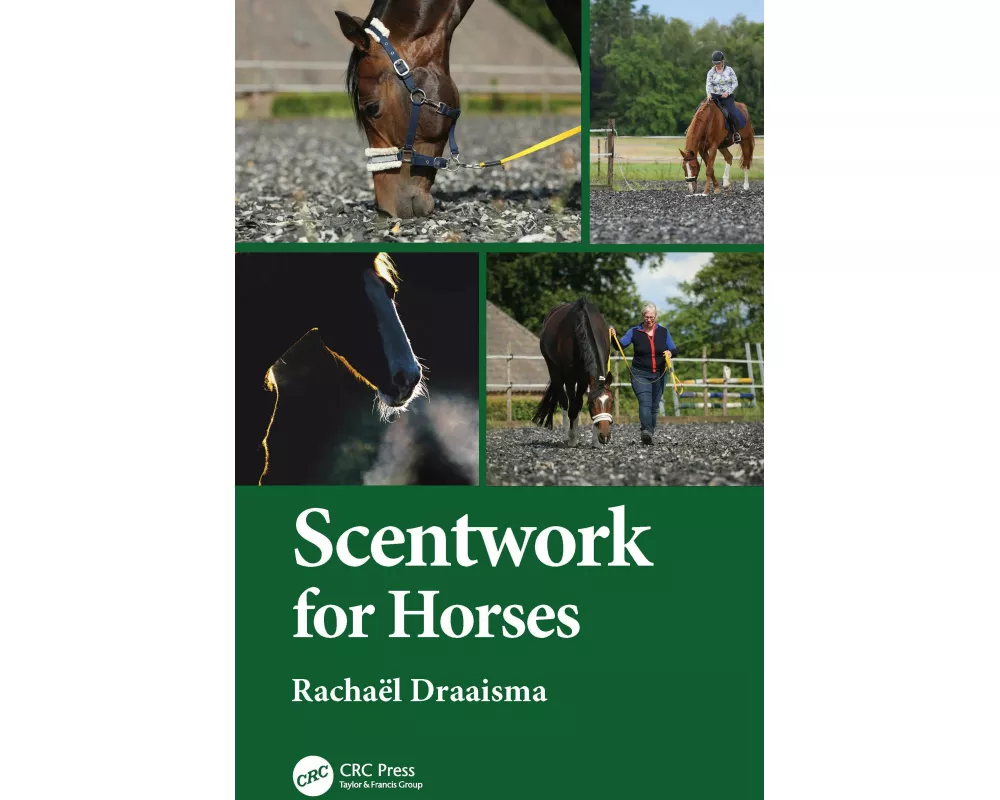 Scentwork for Horses