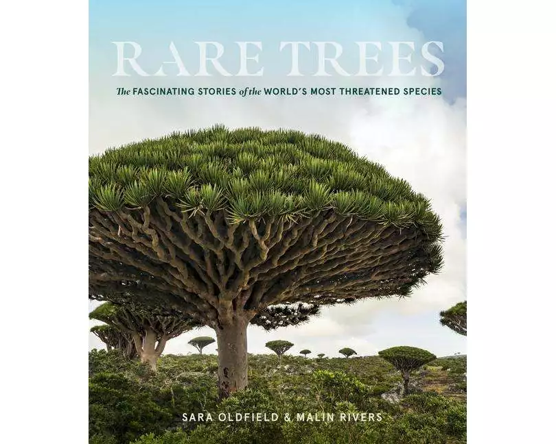 Rare Trees