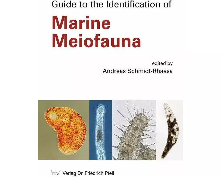 Guide to the Identification of Marine Meiofauna