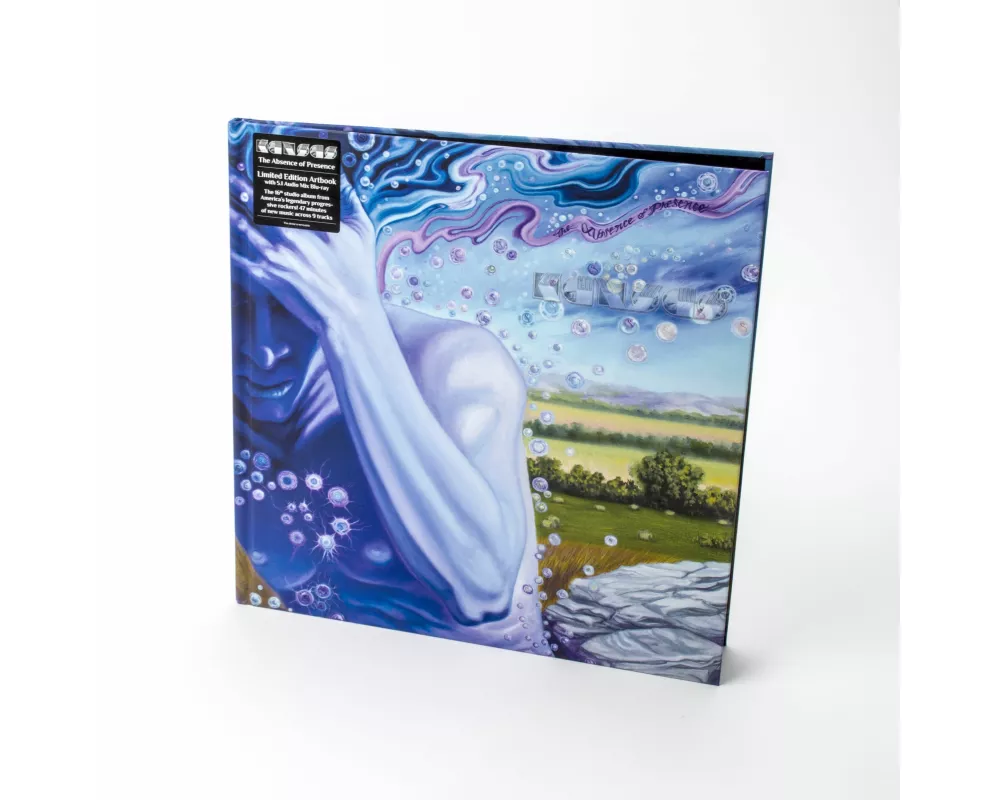 The Absence Of Presence