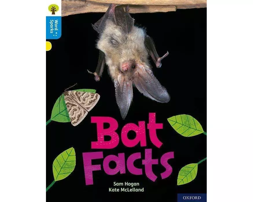 Oxford Reading Tree Word Sparks: Level 3: Bat Facts