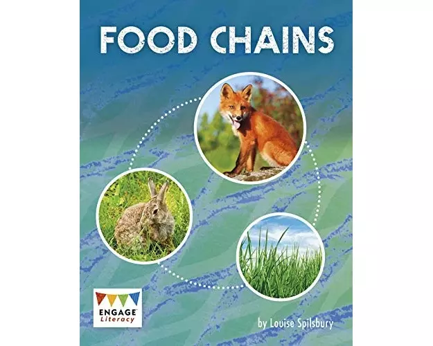 Food Chains