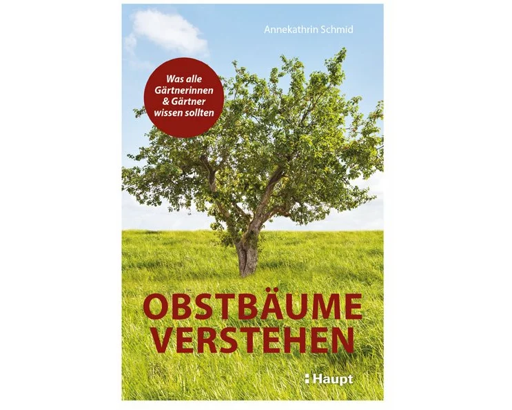 Obstbäume verstehen