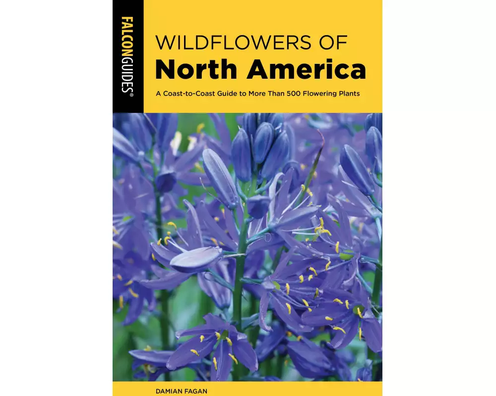 Wildflowers of North America