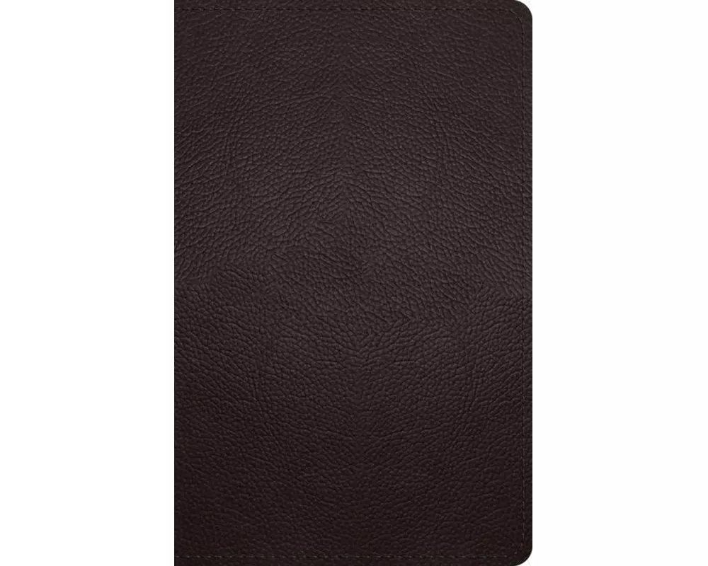 ESV Large Print Personal Size Bible, Red Letter