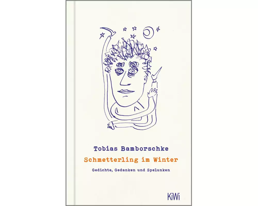 Schmetterling im Winter