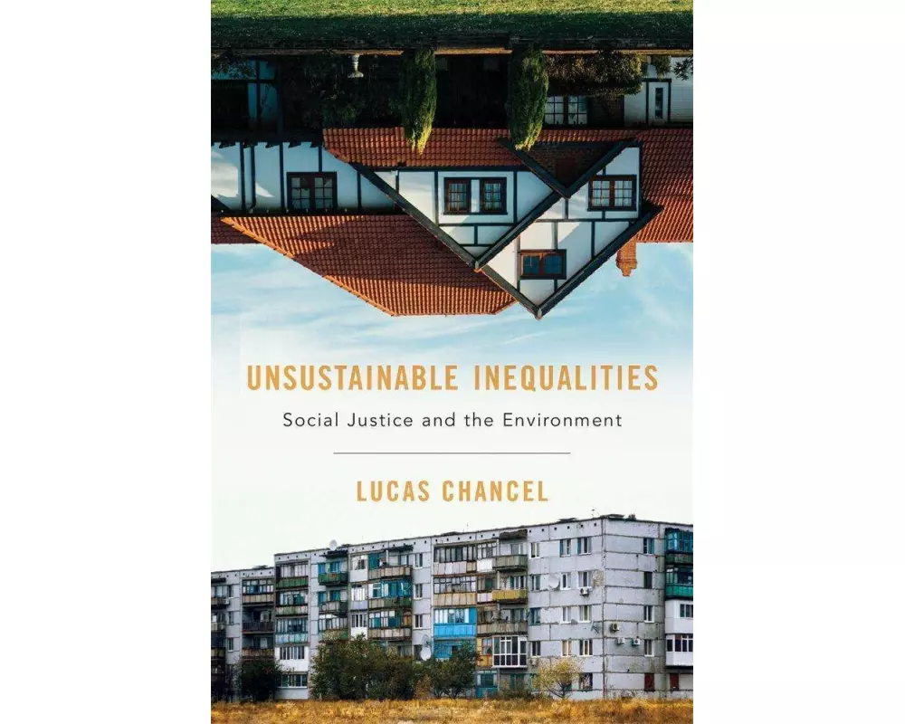 Unsustainable Inequalities