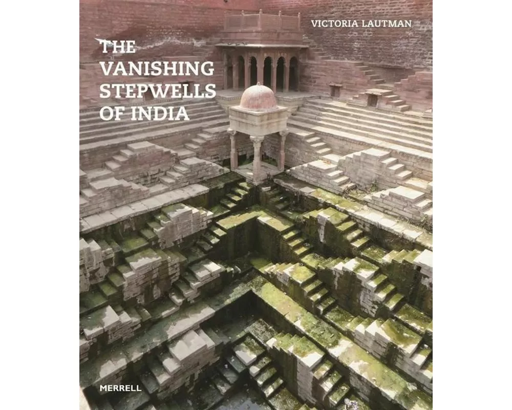 The Vanishing Stepwells of India
