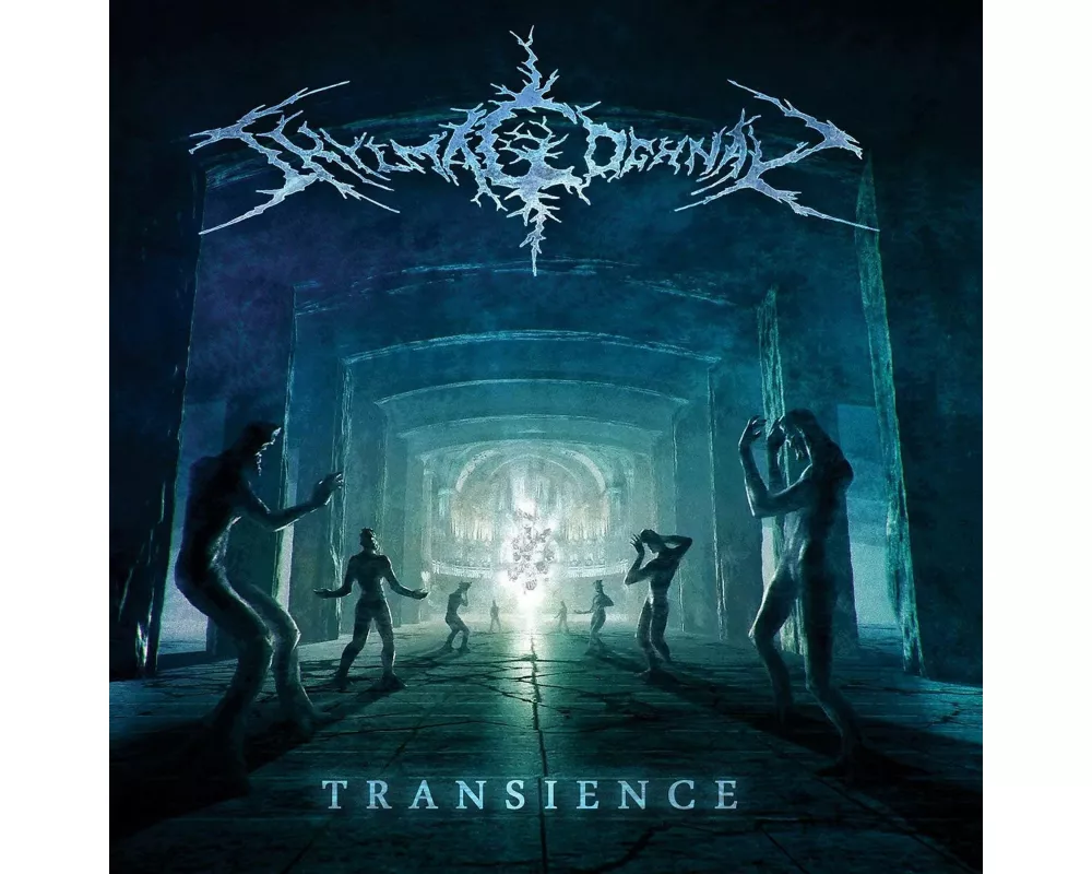 Transience