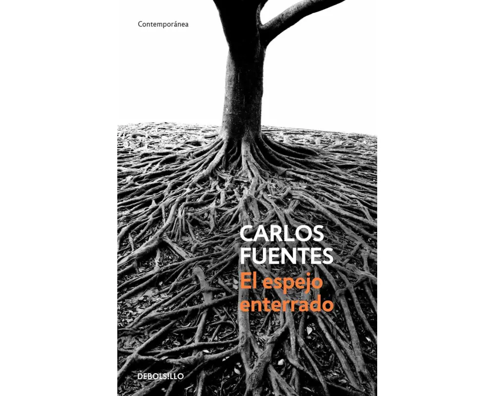 El Espejo Enterrado / The Buried Mirror