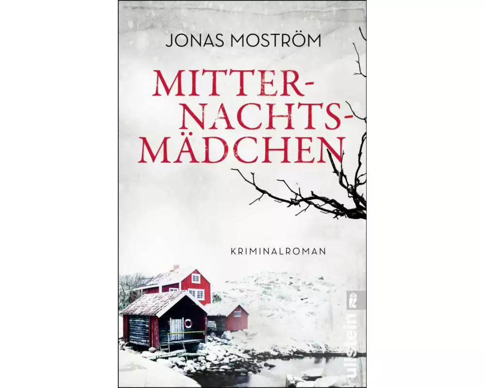 Mitternachtsmädchen (Ein Nathalie-Svensson-Krimi 3)