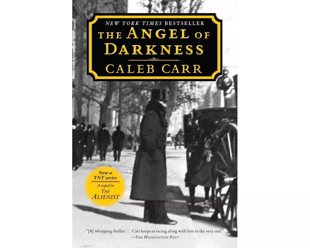 The Angel of Darkness: Book 2 of the Alienist
