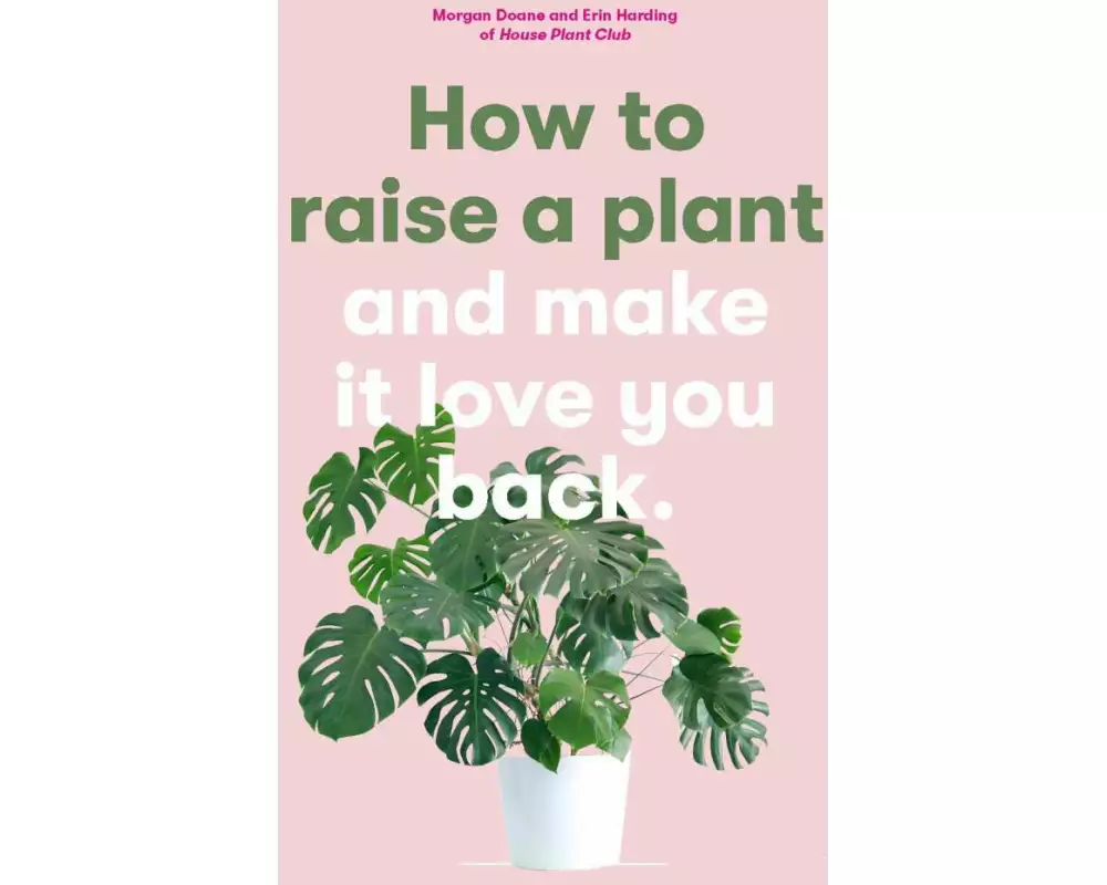 How to Raise a Plant