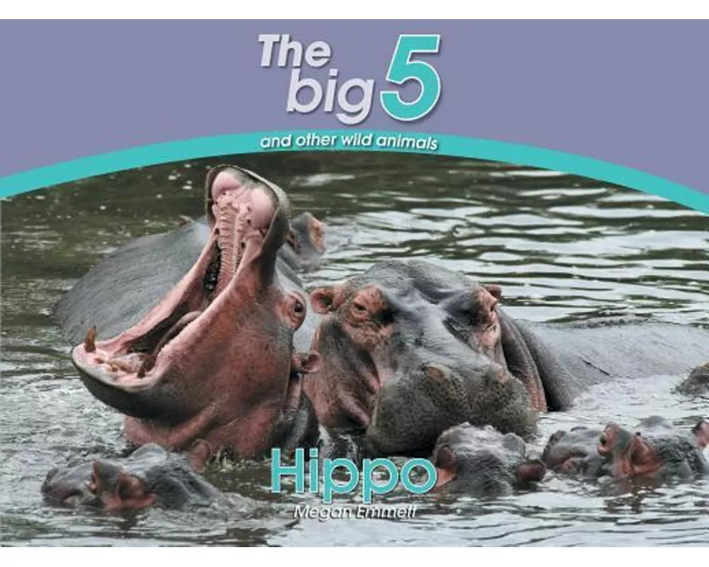 Hippo