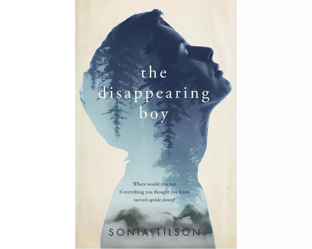 The Disappearing Boy