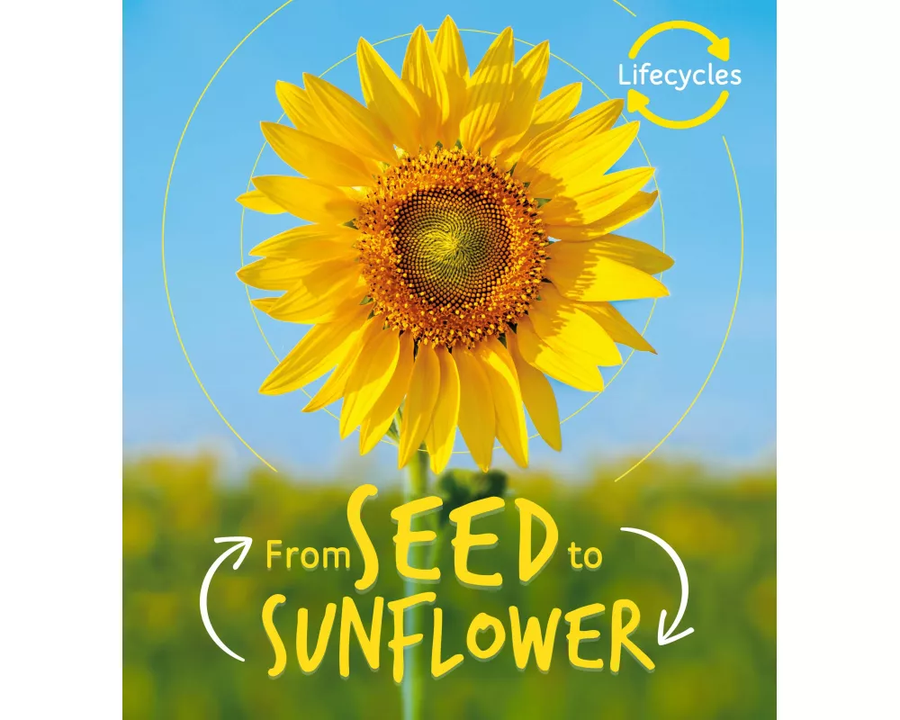 Lifecycles: Seed to Sunflower